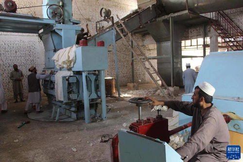 阿富汗 复工的棉花加工厂